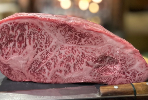 Agence M Com Marseille La Cote De Boeuf Marseille Restaurant Cave Vins viande boeuf persille race prestigieuse